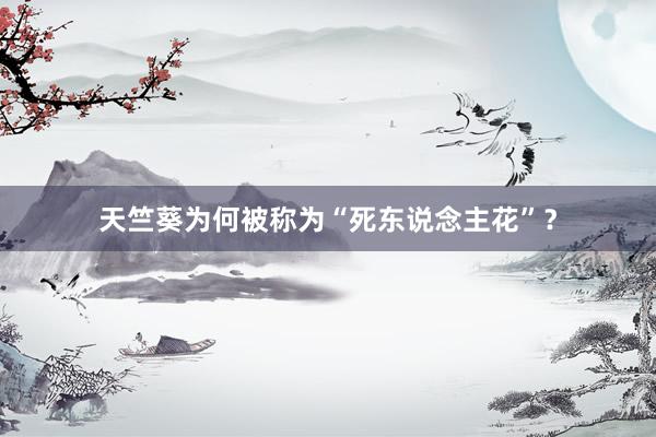 天竺葵为何被称为“死东说念主花”？