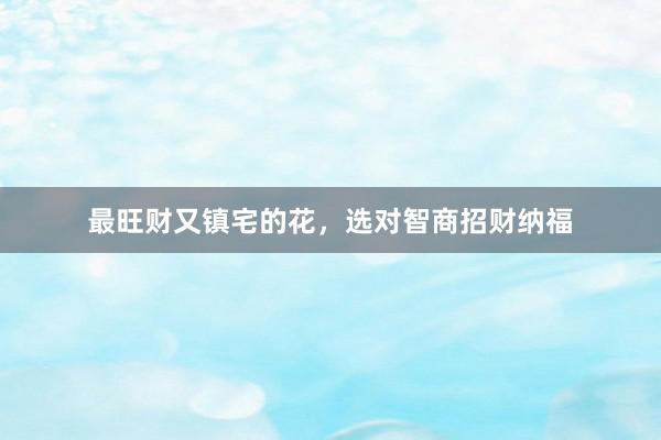 最旺财又镇宅的花，选对智商招财纳福