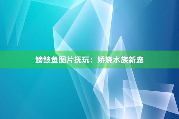 鳑鲏鱼图片抚玩：娇娆水族新宠
