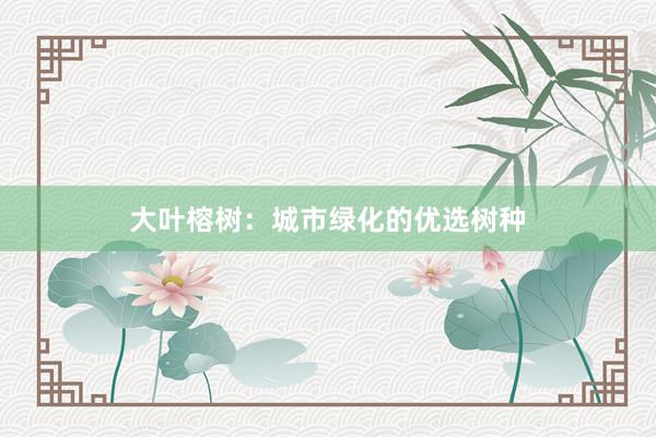 大叶榕树：城市绿化的优选树种