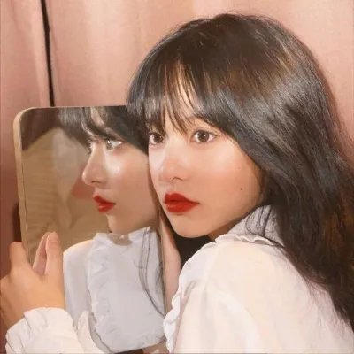 遛鸟家族